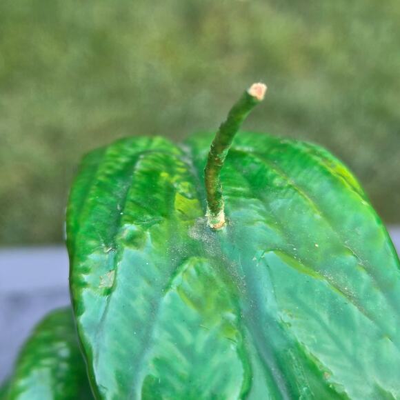 Mythical Candle Two Headed Green Dragon Red Eyes Holding Sphere Unburned *read* - Picture 12 of 15